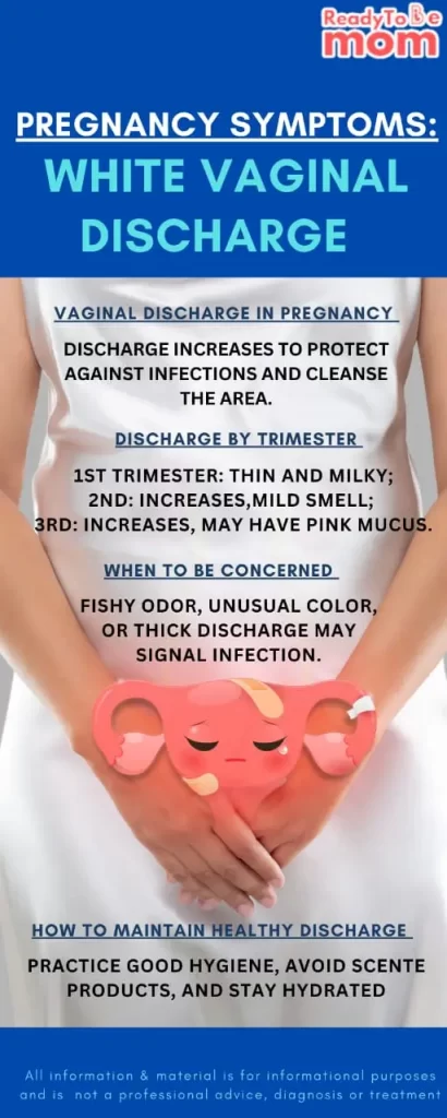 White Discharge during pregnancy infographics