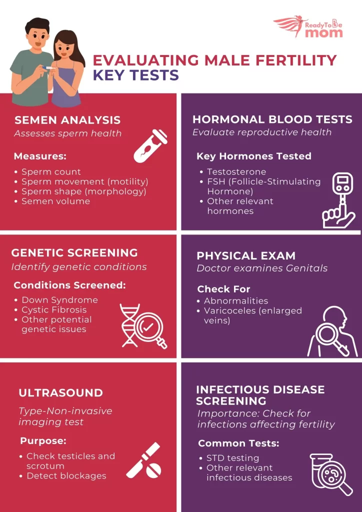 Infographics on male fertility key tests 